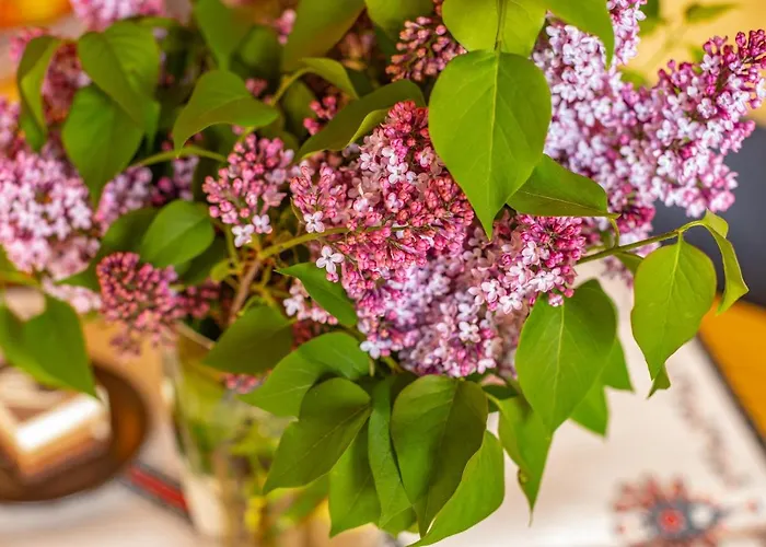 Szymaszkowa シャレー